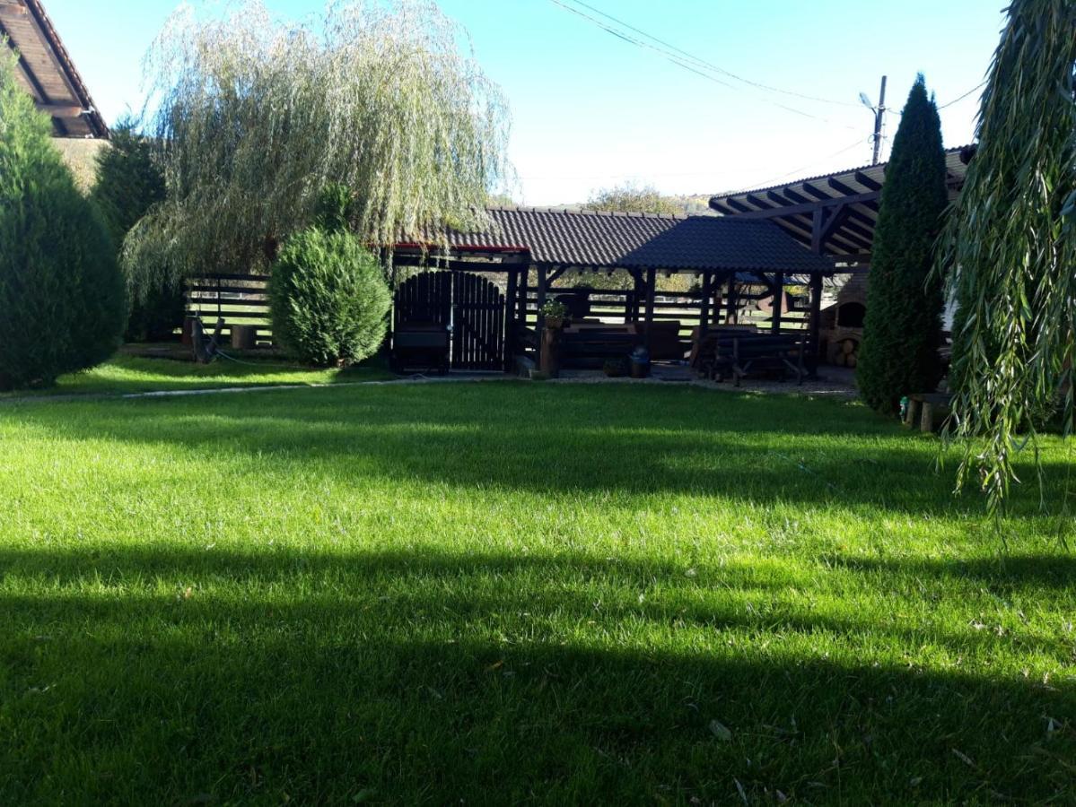 Vila Maria Sebes *