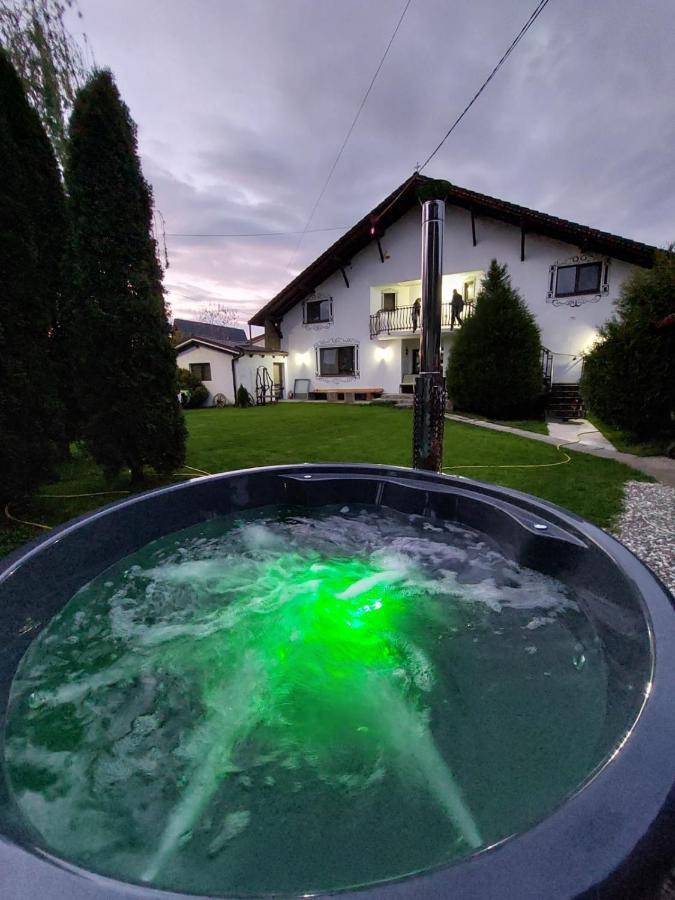 Guest house Vila Maria Sebes