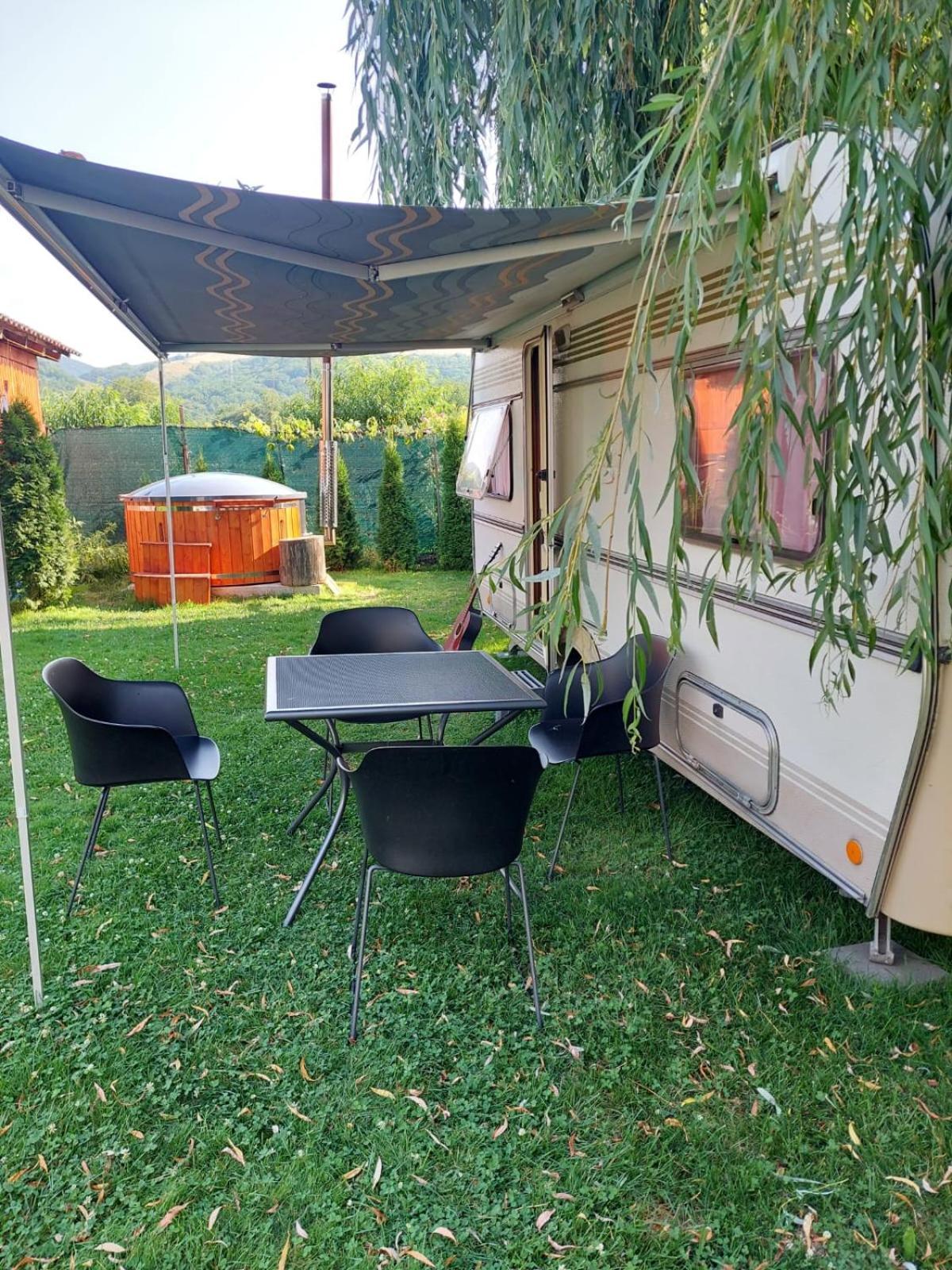 Vila Maria Sebes Guest house *
