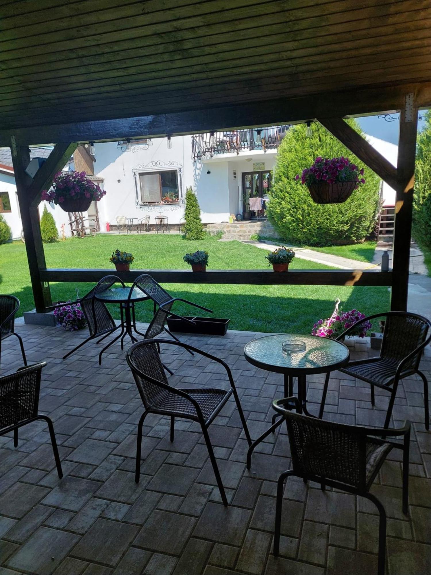 Vila Maria Sebes Guest house Sasciori