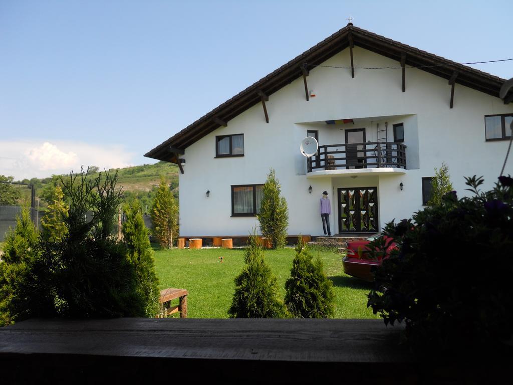 Guest house Vila Maria Sebes