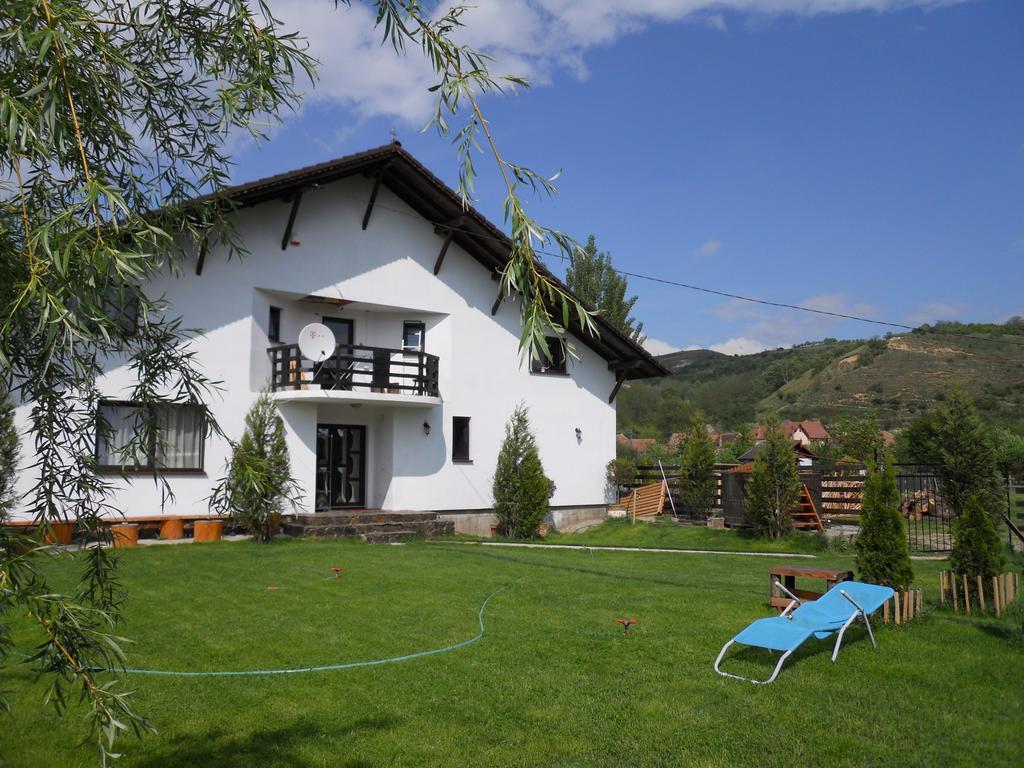 Guest house Vila Maria Sebes *