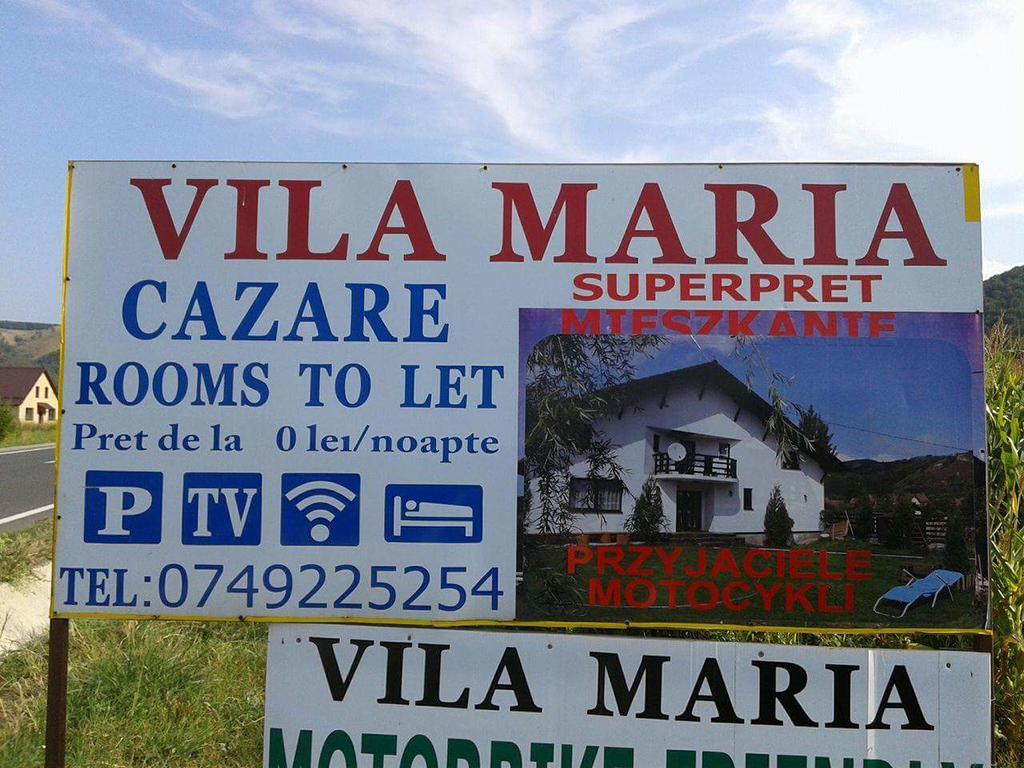 Vila Maria Sebes *