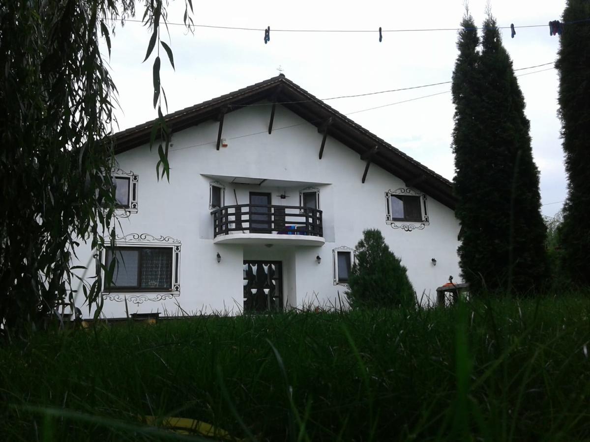Guest house Vila Maria Sebes Sasciori
