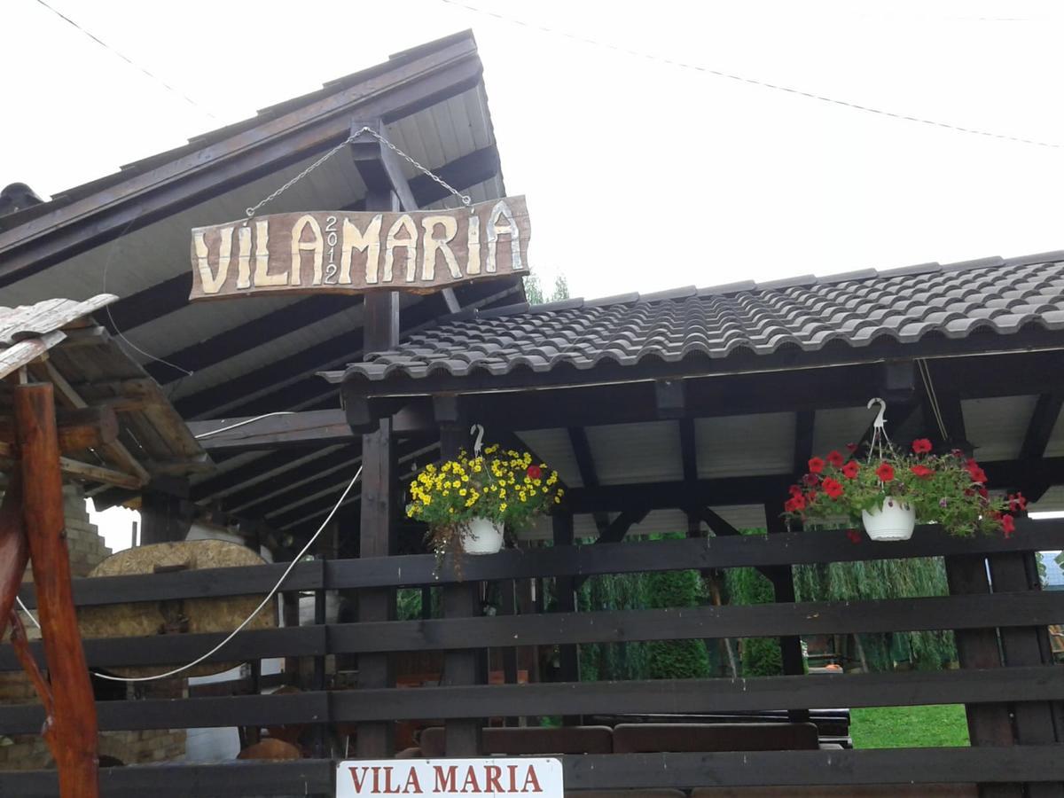 Guest house Vila Maria Sebes Sasciori