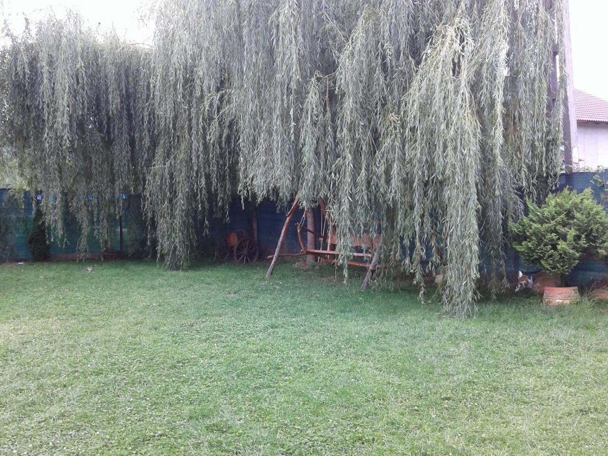 Vila Maria Sebes Guest house