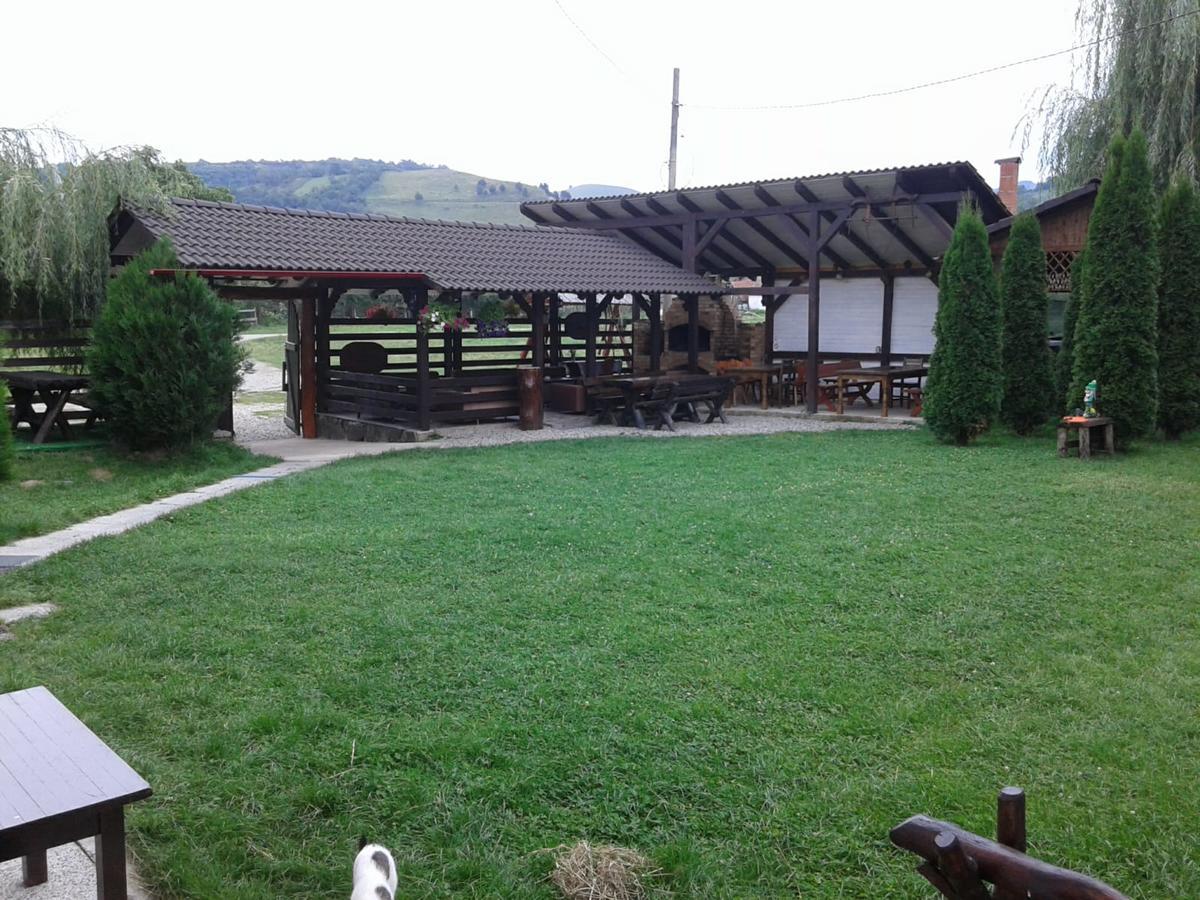Vila Maria Sebes Guest house Sasciori