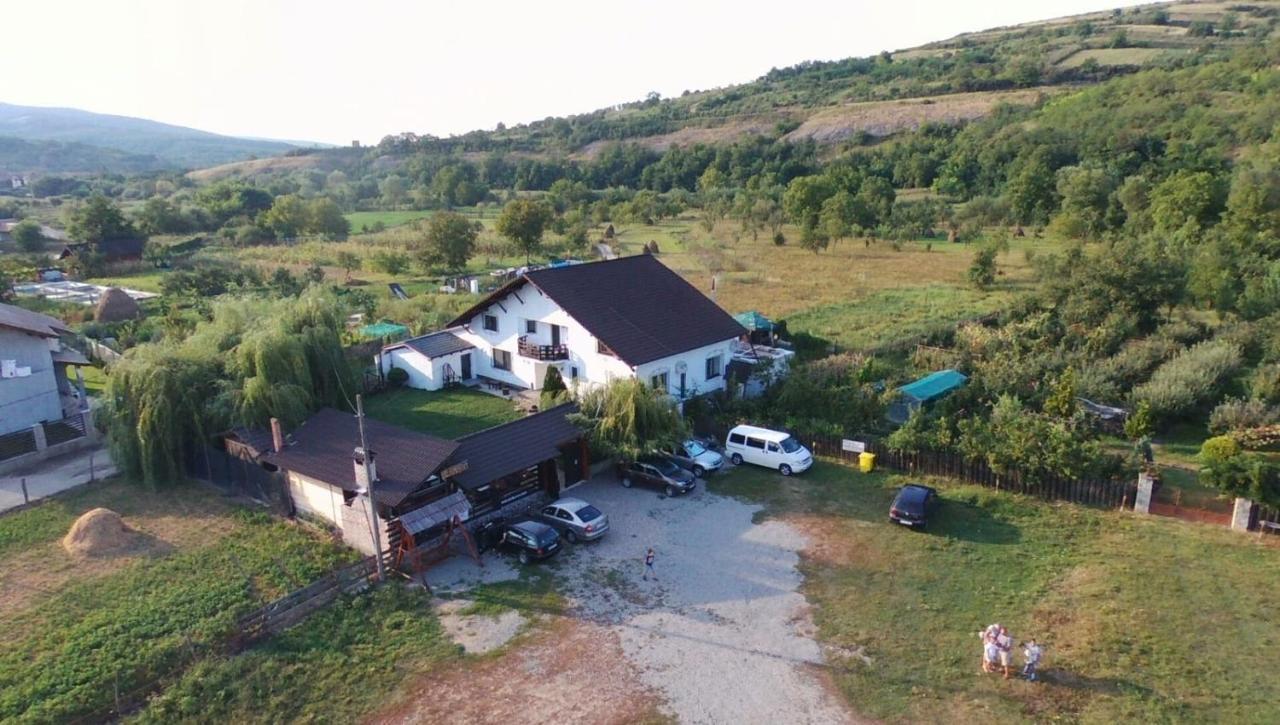 Guest house Vila Maria Sebes
