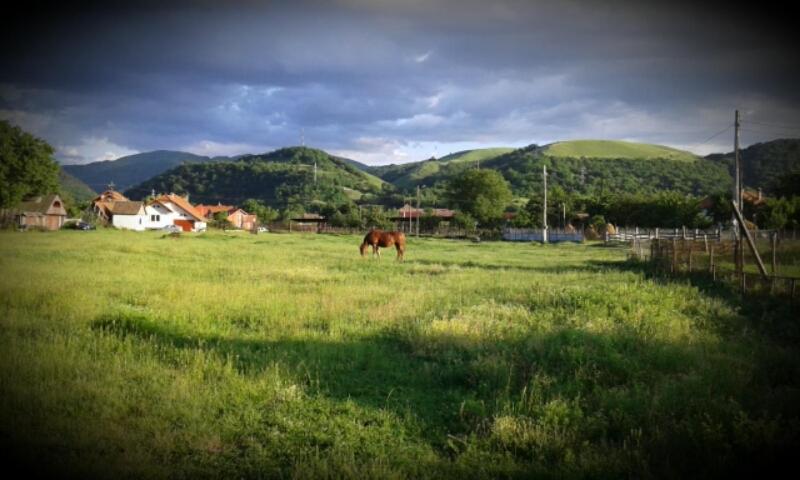 Guest house Vila Maria Sebes