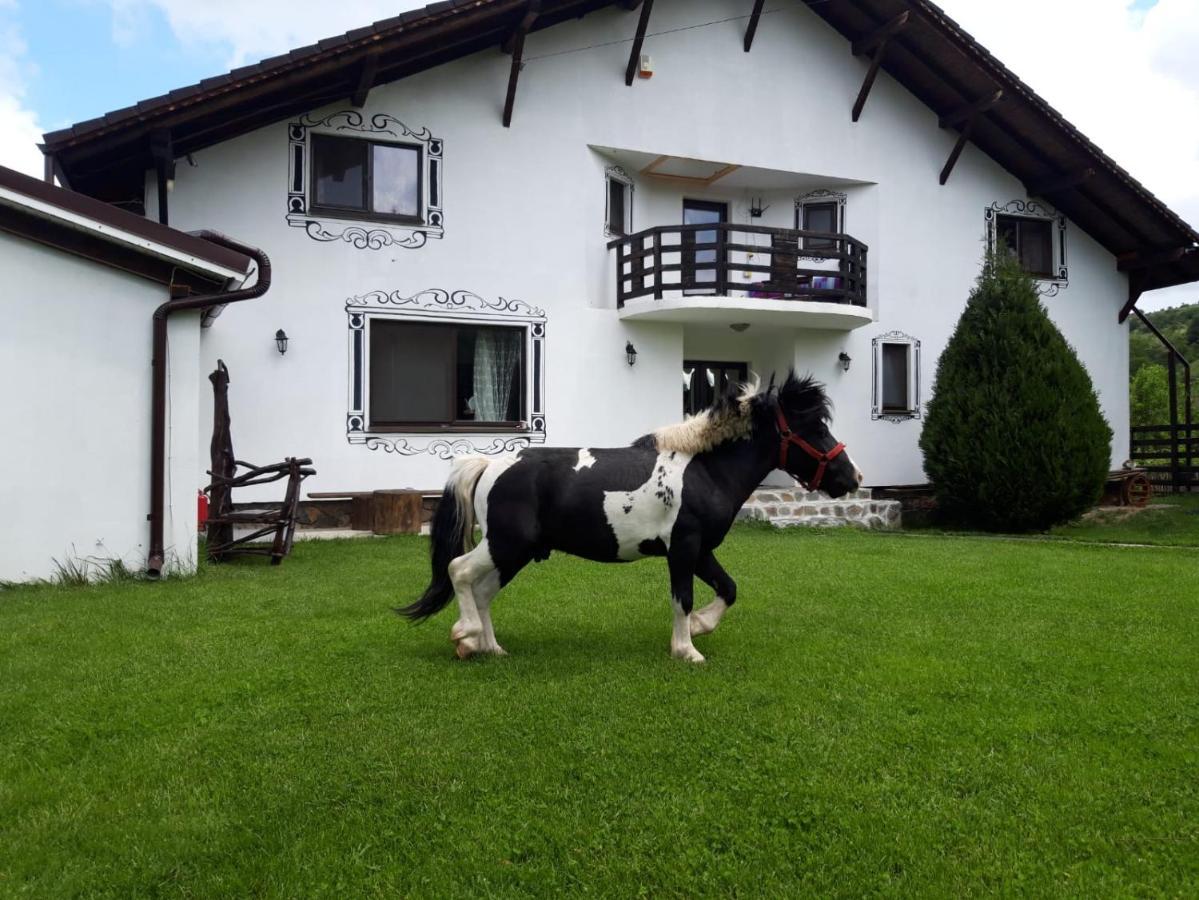 Vila Maria Sebes * Sasciori